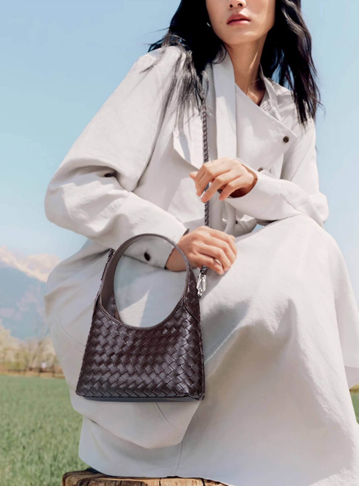 chocolate brown handbag